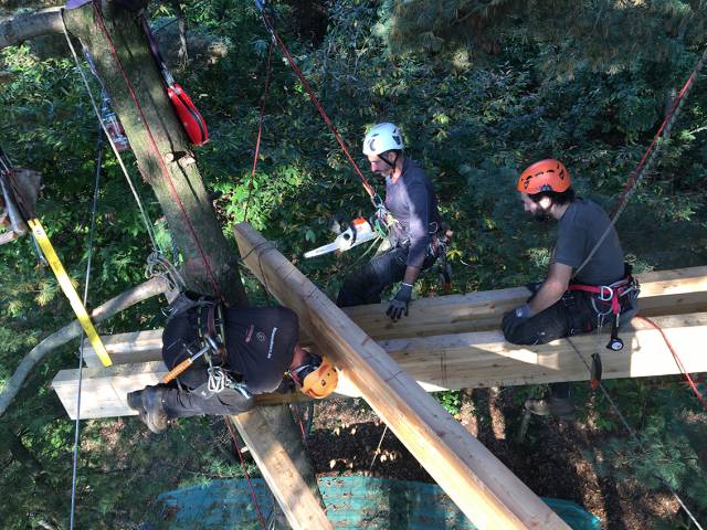 Costruzione piattaforme aeree parco avventura
