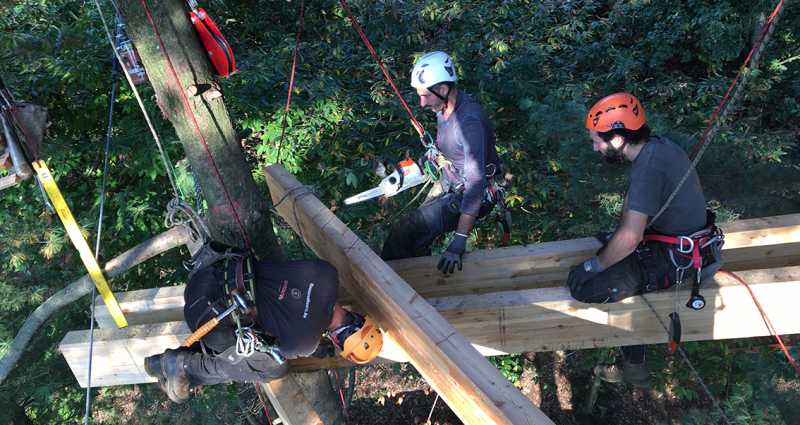 Costruzione piattaforme aeree parco avventura